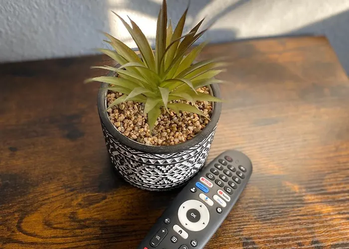 Nelia Leipzig - Better Beds, Better Days *